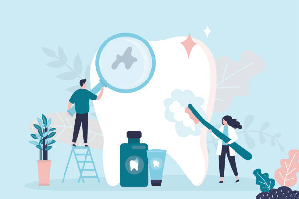Best Preventive Dentistry  in Clay, AL